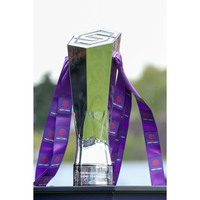 FA WSL