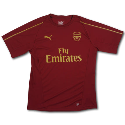 FC Arsenal 2018-19 training L Puma