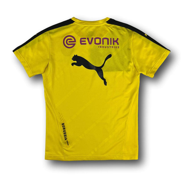 Borussia Dortmund 2015-16 Training Puma M