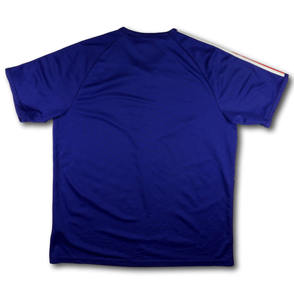 Frankreich 2010 Trikot heim Basic-Version - 6/10 - [L]