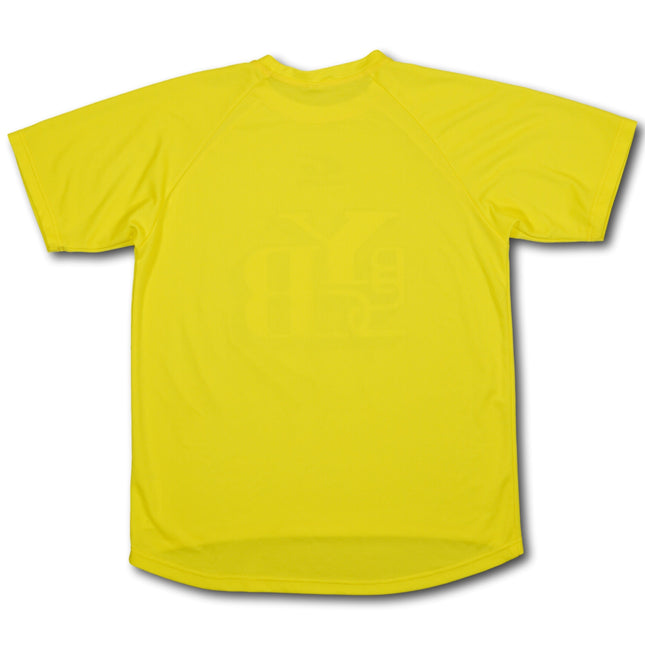 BSC Young Boys 2005-06 fan L Gems