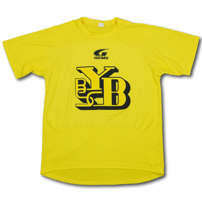 BSC Young Boys 2005-06 fan L Gems