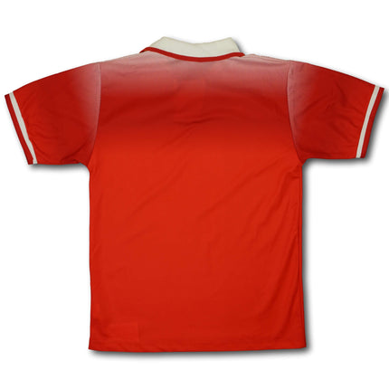Schweiz 1996 heim S vintage Lotto