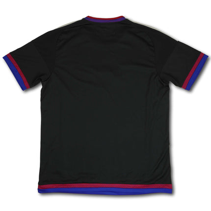 FC Basel 2015-17 Trikot heim - 8/10 - [L]